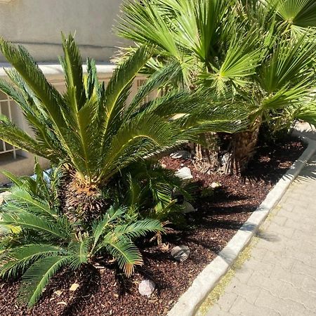 Casa Cacao près plage et vélodrome Marsella Exterior foto